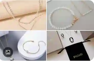 الفئة الرئيسية